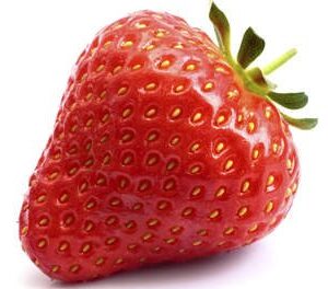 Fresas Fragaria
