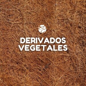 Derivados Vegetales