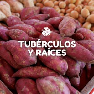 Tubérculos y Raíces